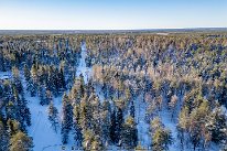 Finlande-02-2024_20