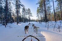 Finlande-02-2024_21