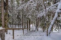 Finlande-02-2024_51