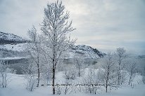 Finlande-02-2024_70