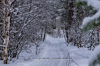 Finlande-02-2024_93