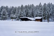 Finlande-02-2024_95