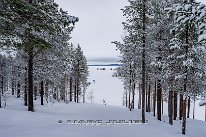 Finlande-02-2024_99