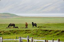 Islande_06-2023_023